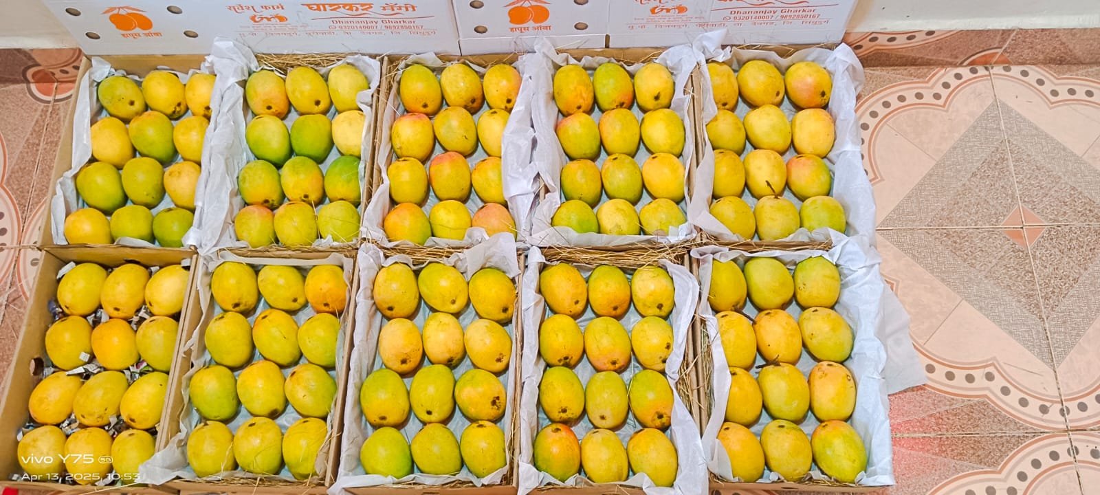 Packed mango boxes ready for delivery